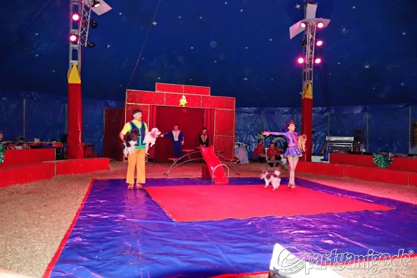 aleksej-gerter_waldshut_weihnachts-circus_20221230_080